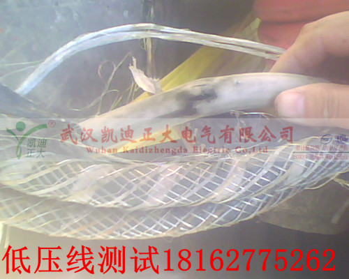 麻豆CHINESE极品艳妇雪臀点修补.jpg